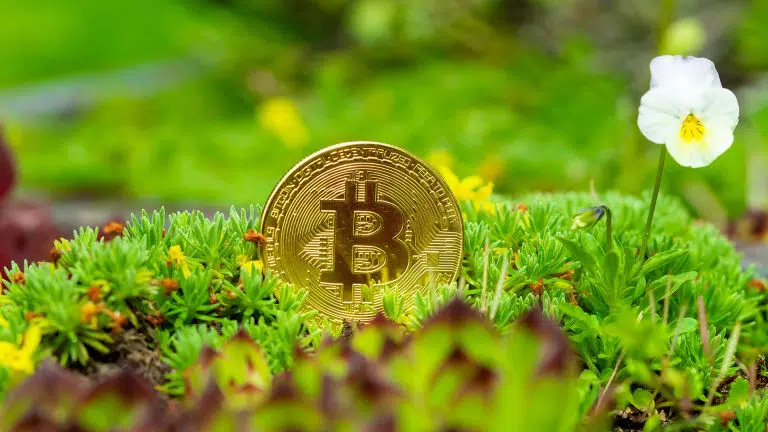 É possível tornar a mineração de Bitcoin “verde”?