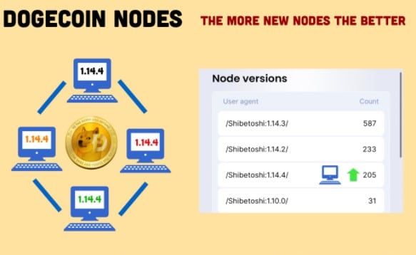 Dogecoin atualização de nodes é importante para rede diminuir taxas
