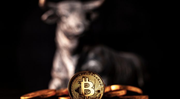 Monte de Bitcoin observado por um touro ao fundo alta do preço cotação