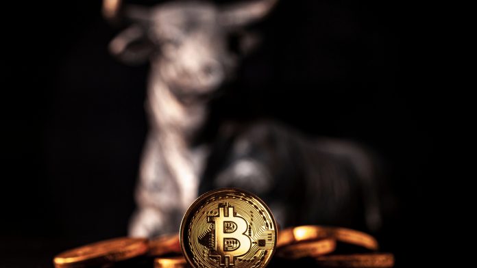 Monte de Bitcoin observado por um touro ao fundo alta do preço cotação