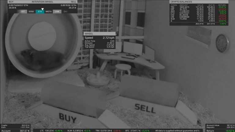 Hamster trader