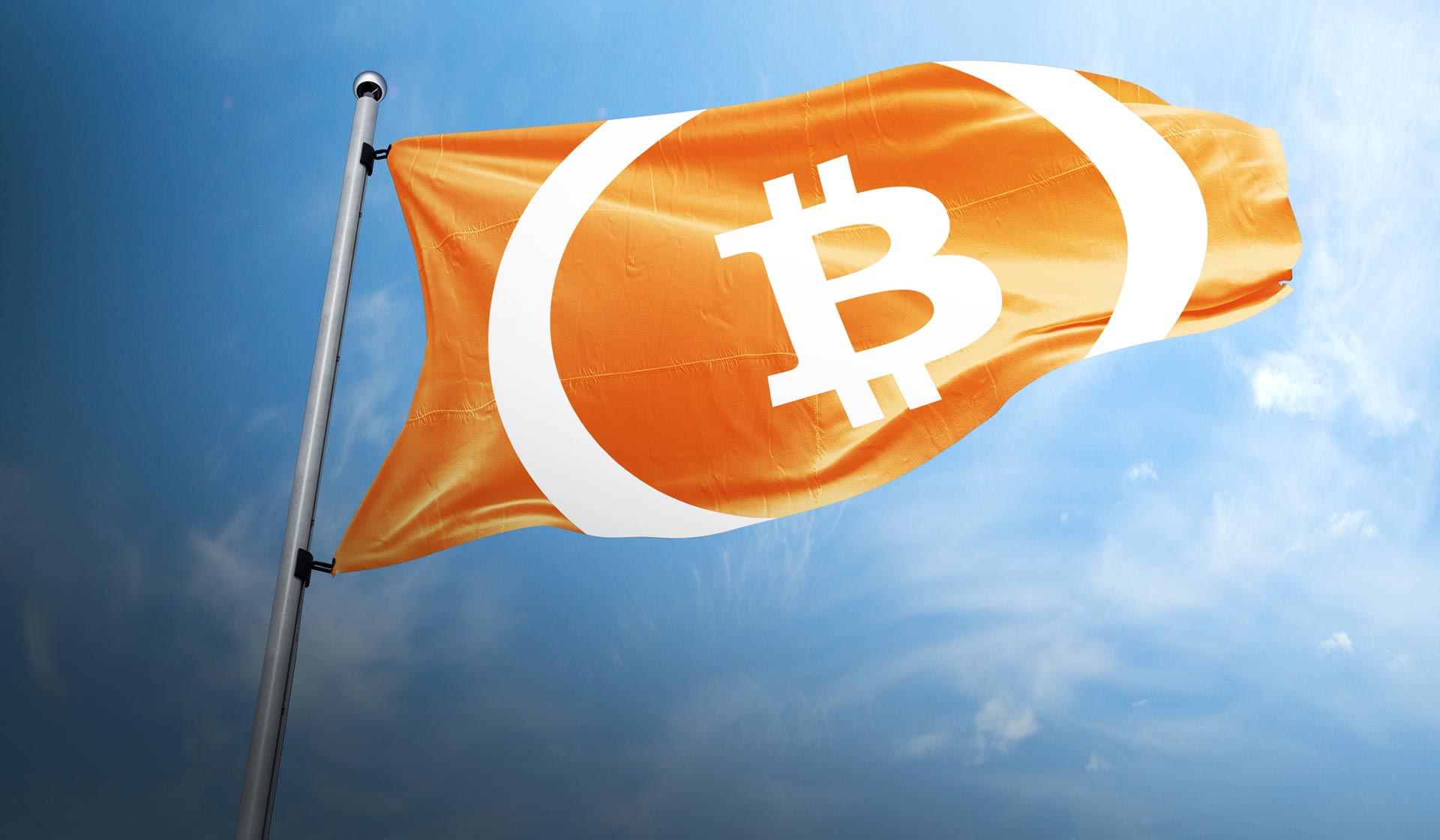 7 de setembro é dia do Bitcoin, comunidade comemora