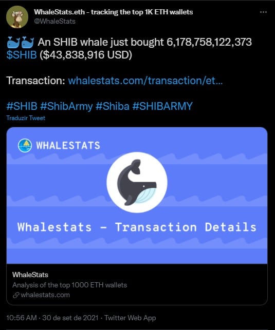 Baleia de Shiba Inu comprou milhões nos últimos dias