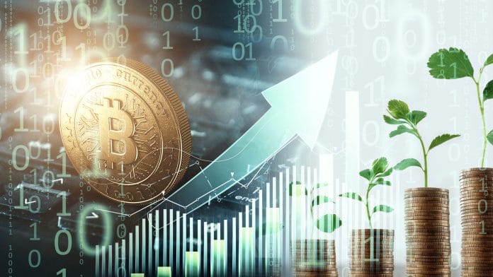 Dados Gráficos e Bitcoin
