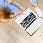 Jovem olhando para tela de notebook ao lado de cachorro da raça Shiba Inu