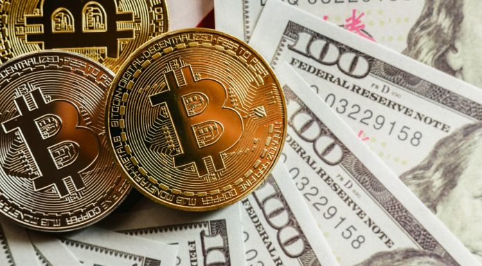 Montes de Bitcoins e Dólares em negociação transação compra venda