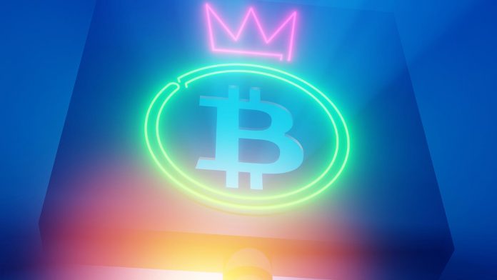 Bitcoin-king