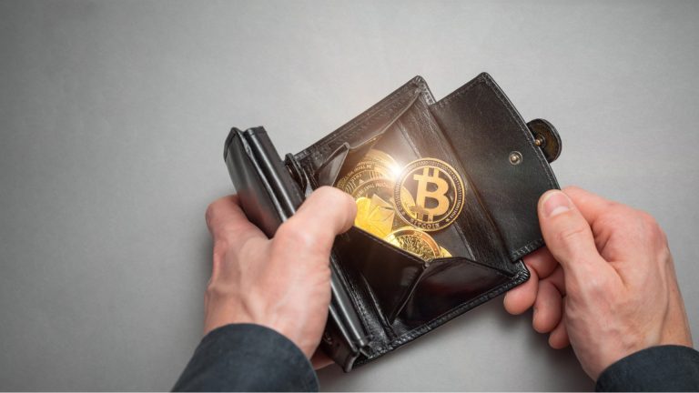 Carteira com Bitcoin, comprar criptomoedas