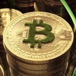Bitcoin verde, sustentabilidade criptomoedas