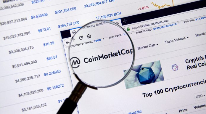 Lupa observando o site CoinMarketCap