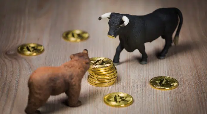 Touro e urso se encarando próximo a pilha de Bitcoins