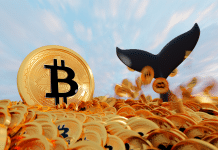 Baleia de Bitcoin mergulhando