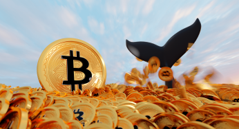 Baleias aproveitam queda e compram bilhões em Bitcoin