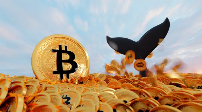 Baleia de Bitcoin mergulhando