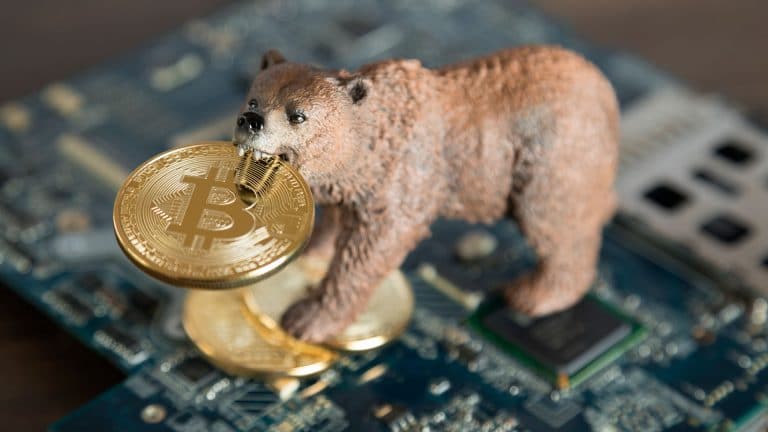 Urso com moeda de Bitcoin