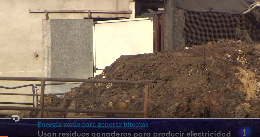 Fazendeiro usa cocô de porco para minerar Bitcoin. Imagem RTVE