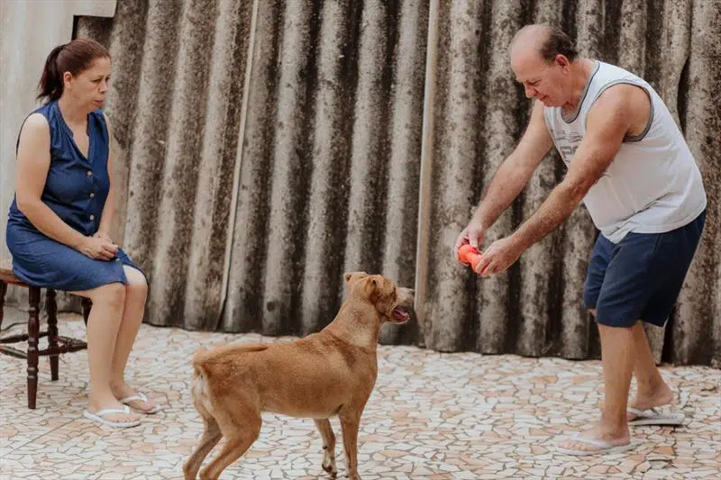 Adoção de animais do canil da prefeitura. - Na imagem, o cachorro Bitcoin com os adotantes Paulo Roberto Martins Loyola e a esposa Samara. Foto: Anderson Loyola