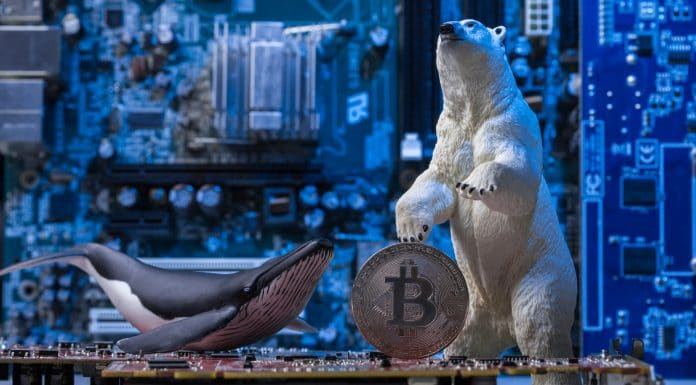 Baleia e urso ao lado de moeda Bitcoin