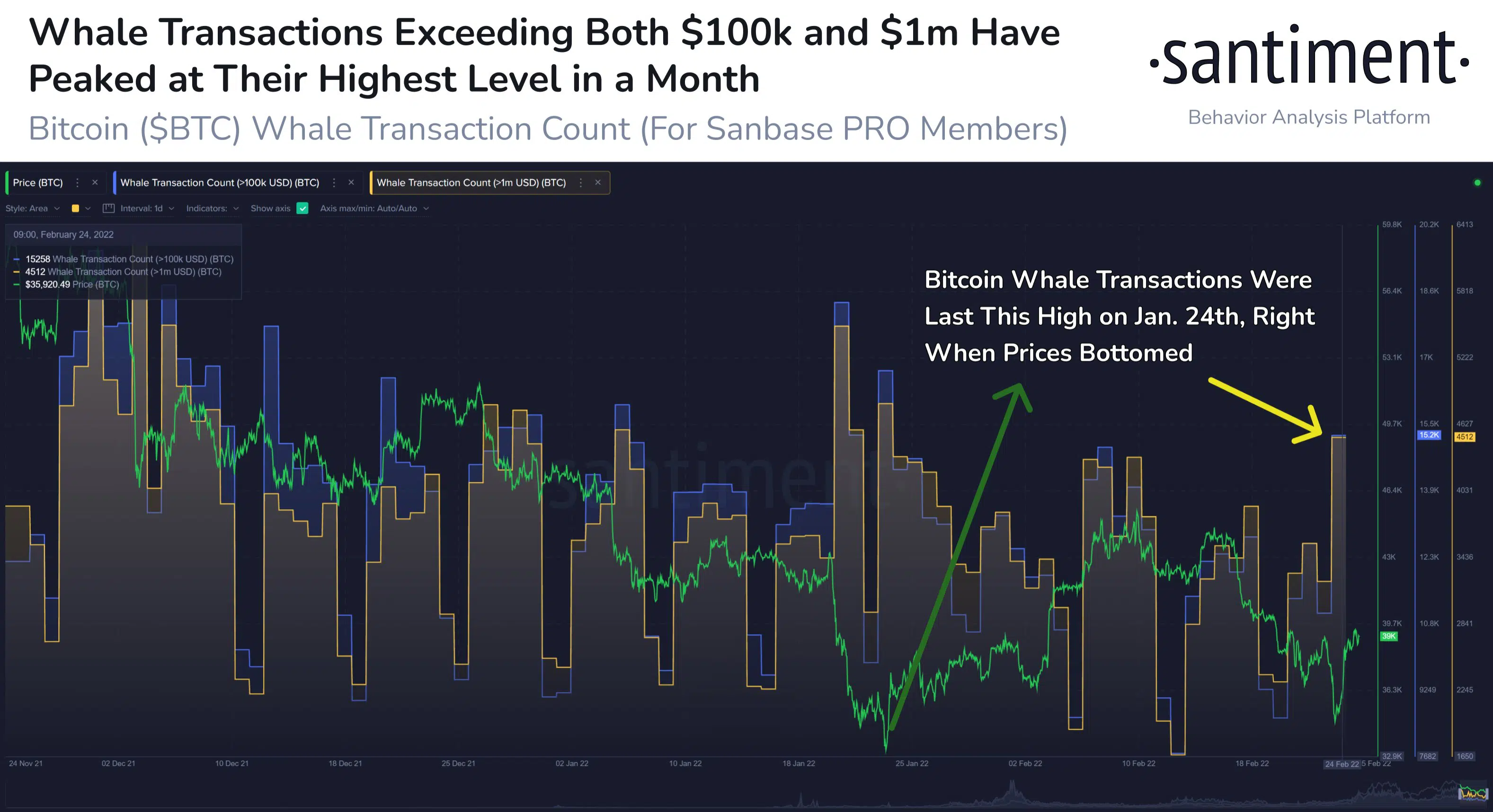 Santiment explicou volume de transações de baleias de Bitcoin, maiores desde janeiro de 2022