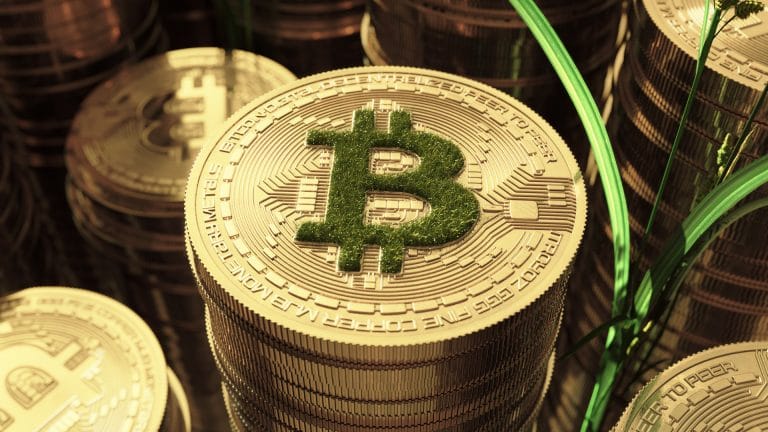 Moeda de Bitcoin com vegetação