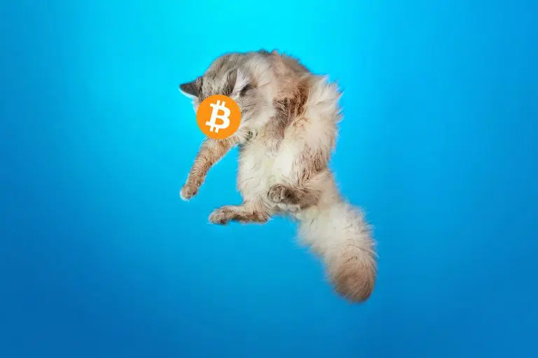 Bitcoin volta a subir: Pulo do gato morto ou Reversão?