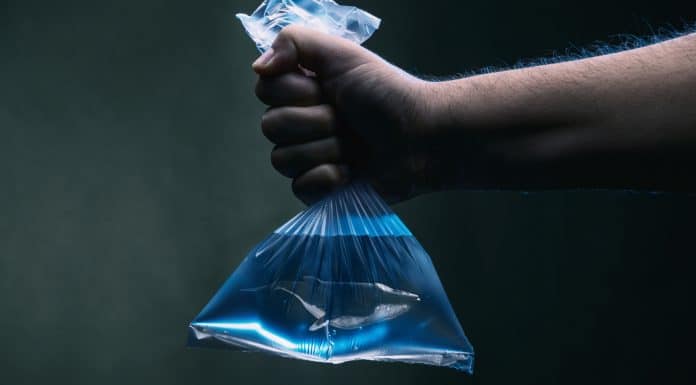Baleia presa em saco plástico