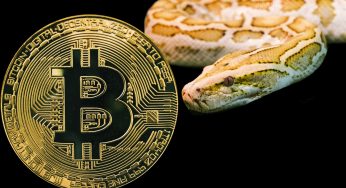 Dono de site bitcoin.org é condenado a pagar R$ 3 milhões em processo