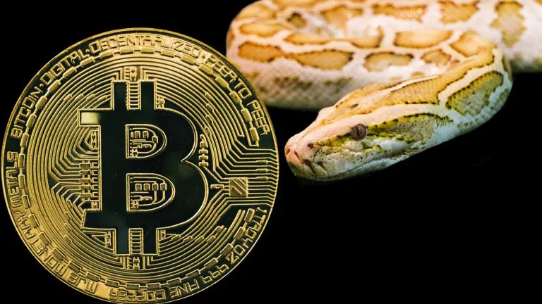 Cobra olhando para o Bitcoin