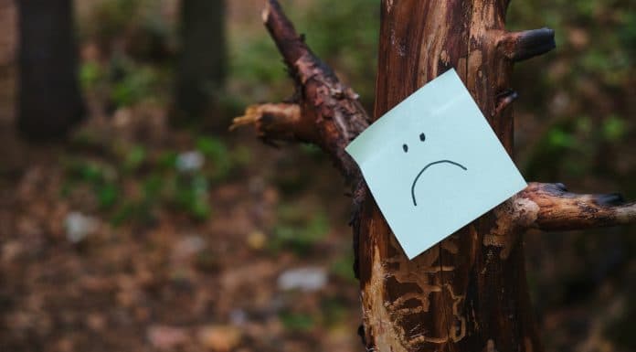 Folha de papel com emoji triste em árvore, em sinal de floresta degradada
