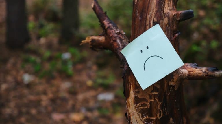 Folha de papel com emoji triste em árvore, em sinal de floresta degradada