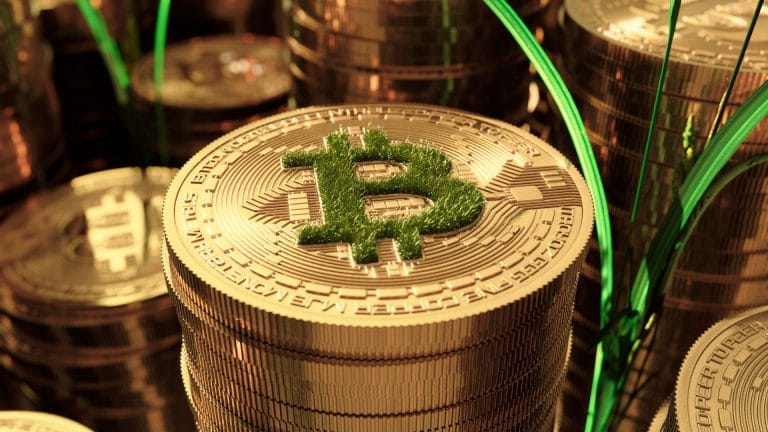 Bitcoin em meio à natureza.