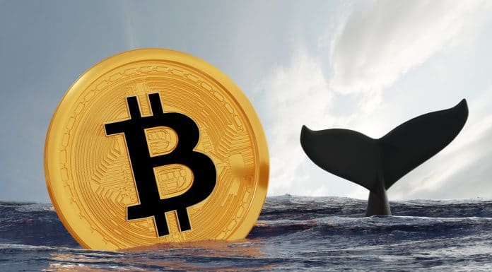Bitcoin e cauda de Baleia.