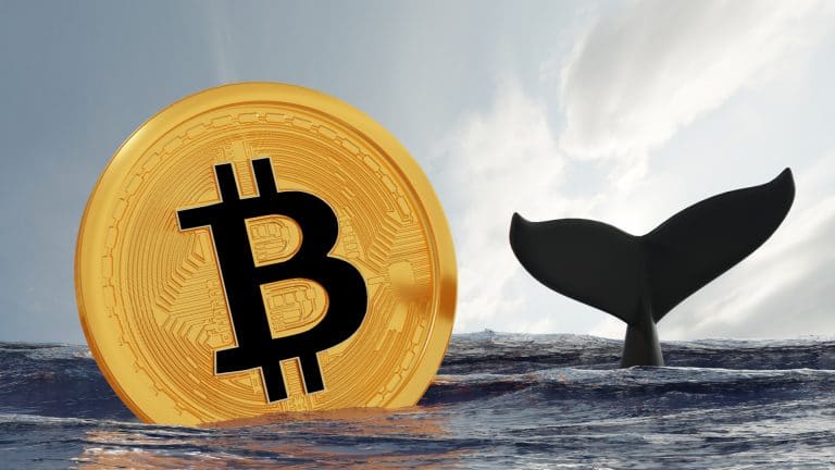 Bitcoin e cauda de Baleia.