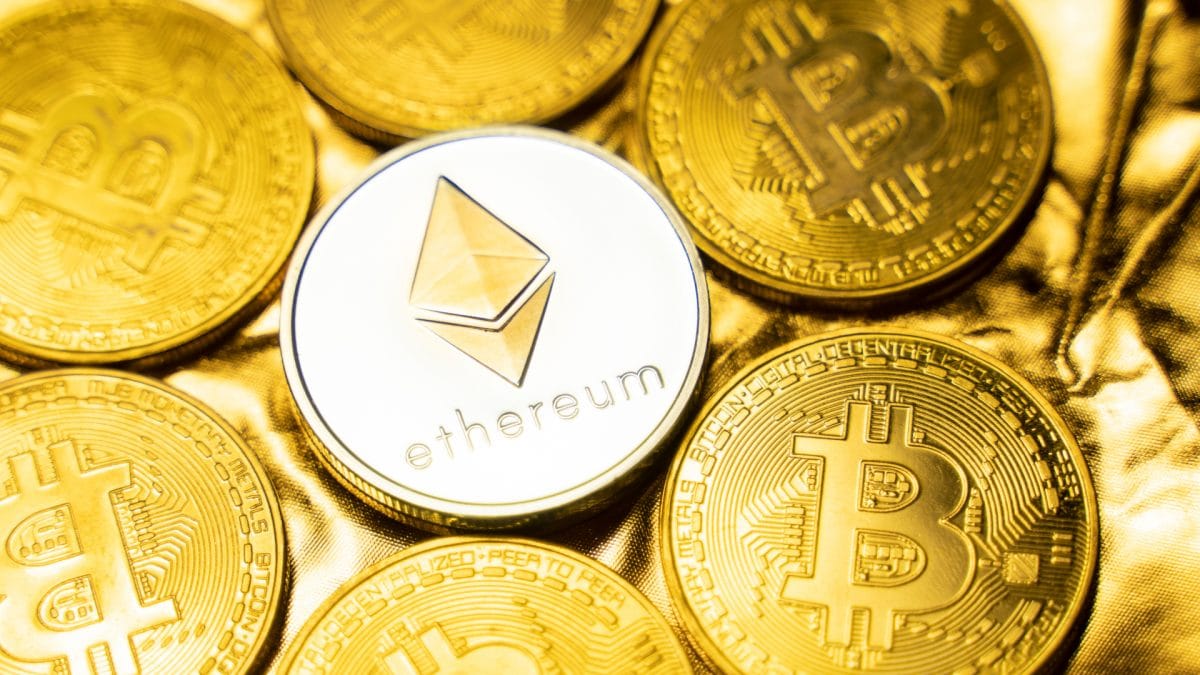 gala criptomoeda