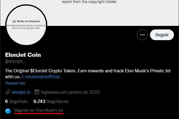 Perfil no Twitter de criptomoeda suspeita ElonJet Coin