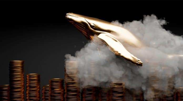 Baleia, animal usado como sinônimo de grande investidor, saltando em pilhas de moedas.