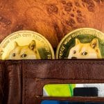 Moedas de Dogecoin (DOGE) dentro de uma carteira.