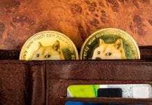 Moedas de Dogecoin (DOGE) dentro de uma carteira.