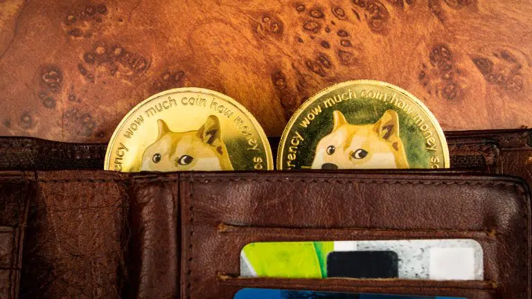 Moedas de Dogecoin (DOGE) dentro de uma carteira.