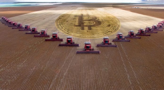 Colheita em massa de soja em uma fazenda no estado de Mato Grosso, Brasil, com bitcoin na terra