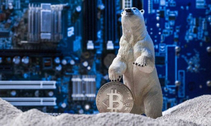 Crypto Winter