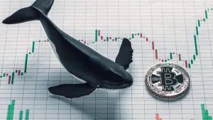 Baleia ao lado de moeda de Bitcoin sobre gráfico de velas.