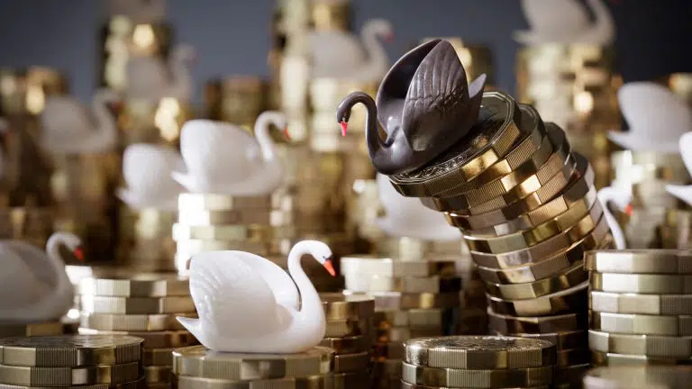 Cisne Negro sobre pilha de moedas ao lado de diversos cisnes brancos.