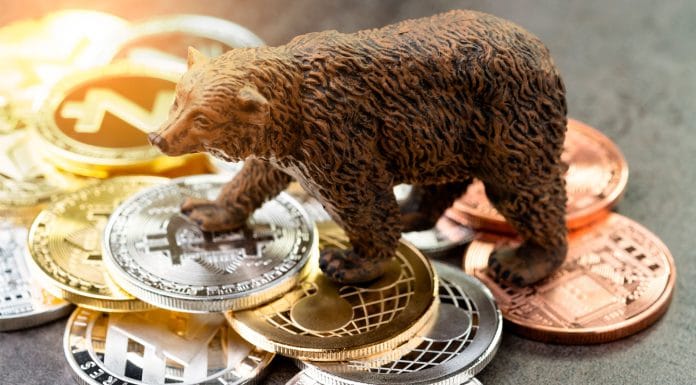 Urso em cima de moedas físicas de Bitcoin e outras criptos, representando um mercado de baixa.