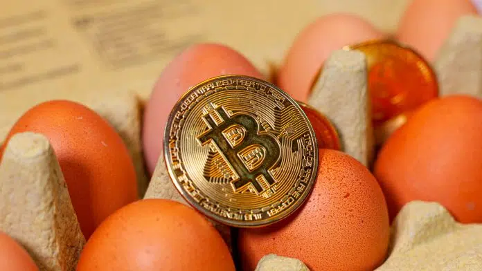 Moeda de Bitcoin sobre dúzia de ovos.