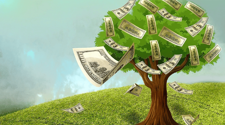 Hoje em dia, dinheiro nasce sim em árvore.