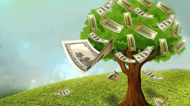 Hoje em dia, dinheiro nasce sim em árvore.