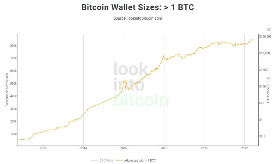 Gráfico con direcciones con más de 1 Bitcoin (BTC)