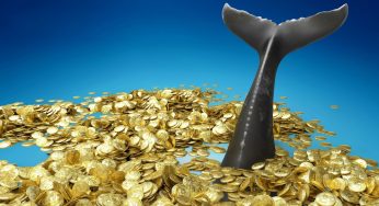 Maior baleia de bitcoin move R$ 8,3 bilhões após ligeira alta