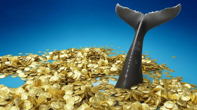 Baleia mergulhando em moedas de Bitcoin.